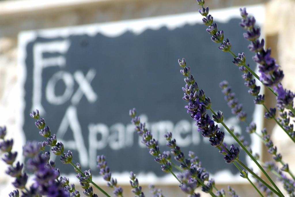 Fox Apartments ซัฟทัท ห้อง รูปภาพ